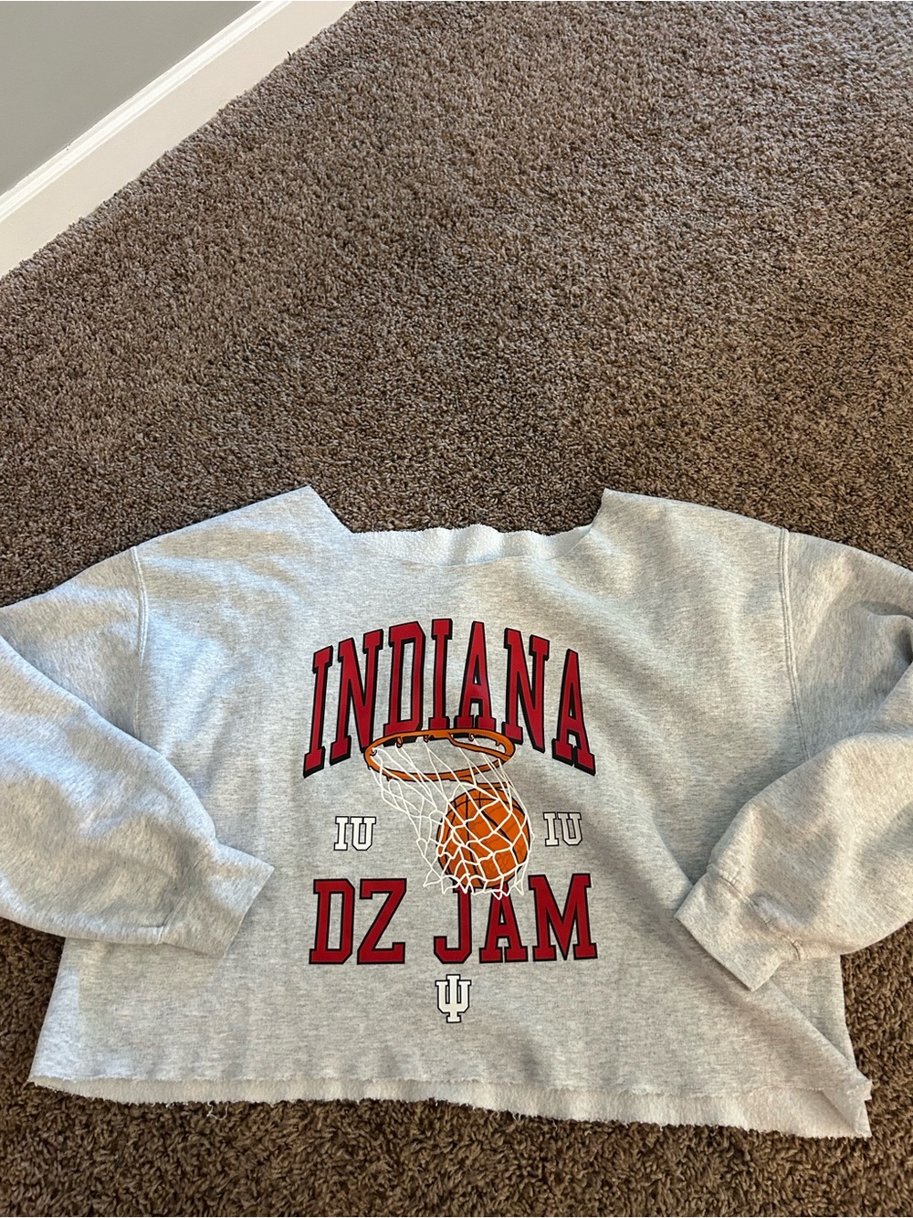 IU Indiana Hoosiers custom crop sweatshirt large DZ jam